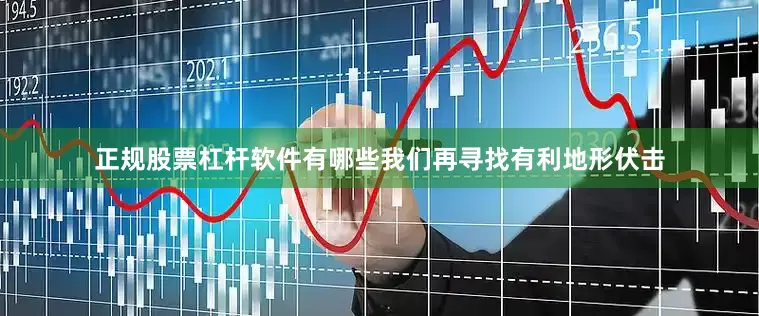 正规股票杠杆软件有哪些我们再寻找有利地形伏击