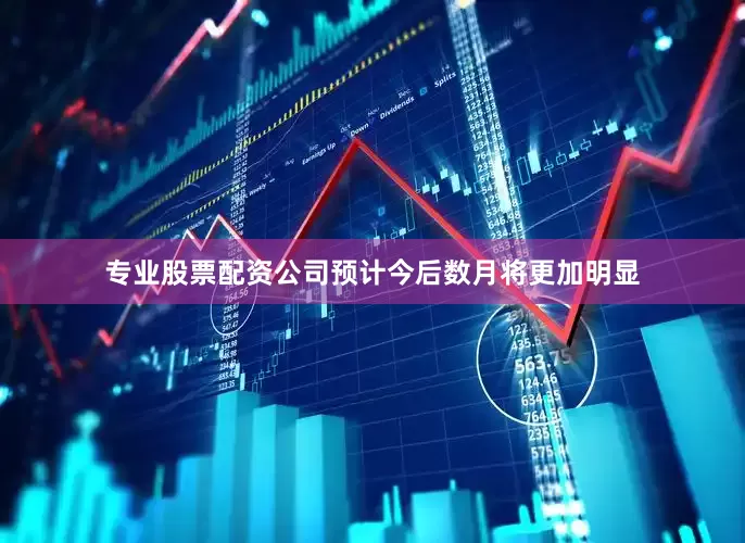 专业股票配资公司预计今后数月将更加明显