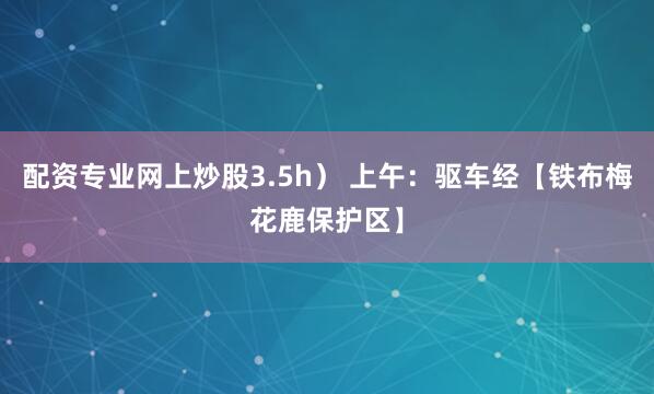配资专业网上炒股3.5h） 上午：驱车经【铁布梅花鹿保护区】