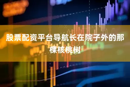 股票配资平台导航长在院子外的那棵核桃树