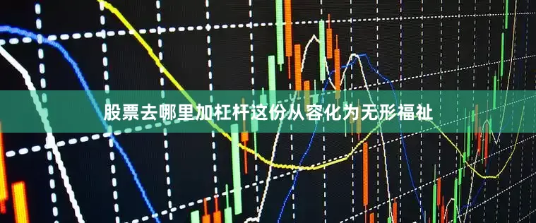 股票去哪里加杠杆这份从容化为无形福祉