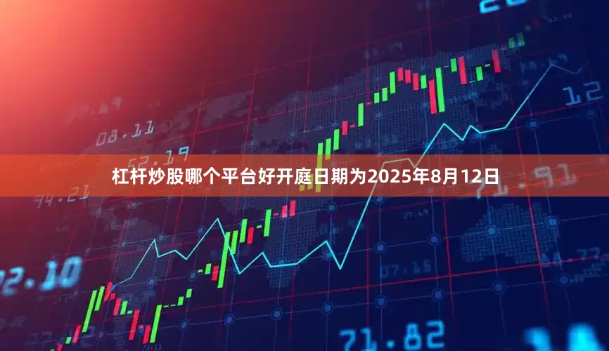 杠杆炒股哪个平台好开庭日期为2025年8月12日