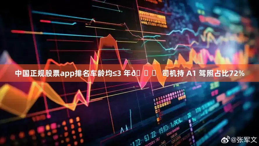 中国正规股票app排名车龄均≤3 年🌟 司机持 A1 驾照占比72%